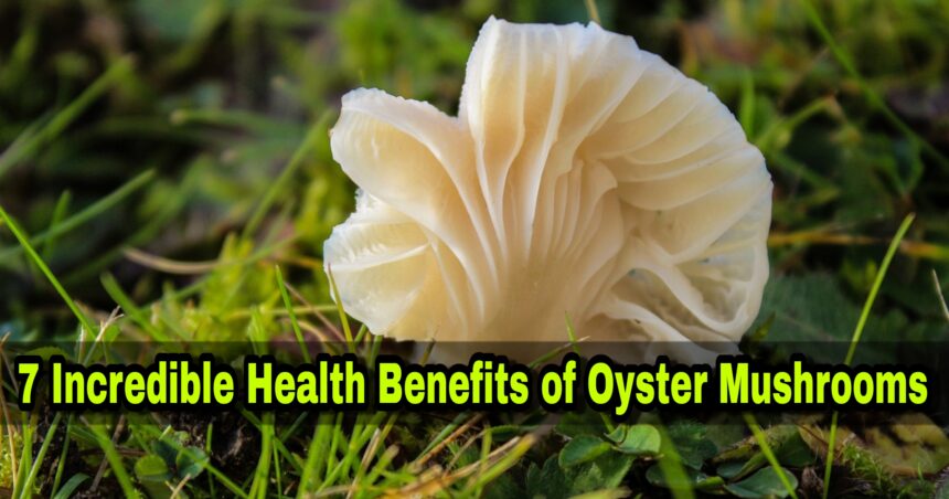 Picsart 25 01 24 19 31 34 533