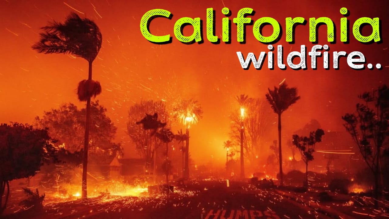 wildfire